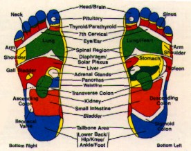 http://www.circlesoflight.com/images/relexology-chart-feet.jpeg